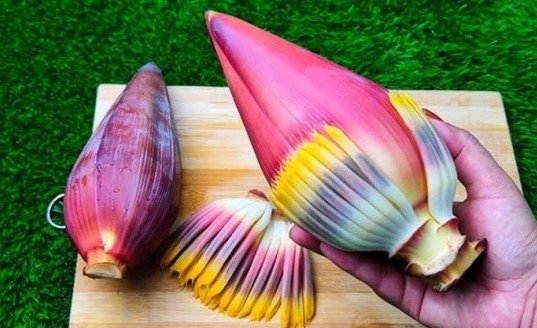 public/uploads/images/newsimages/MyNewsimage26102025_033817_কলার মোচা .jpg